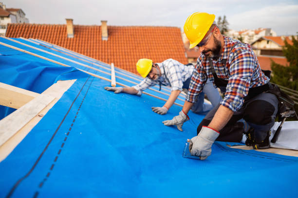 Best Metal Roofing Contractor  in Sunman, IN